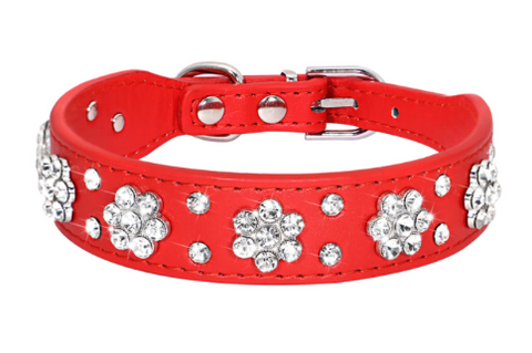 Daisy Bling Collar