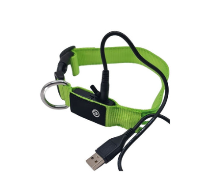 Night Walker Pro LED Collar