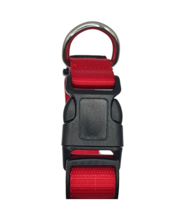 Night Walker Pro LED Collar