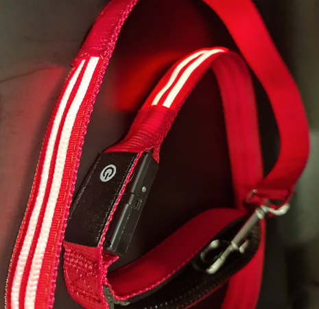 Night Walker Pro LED Lead