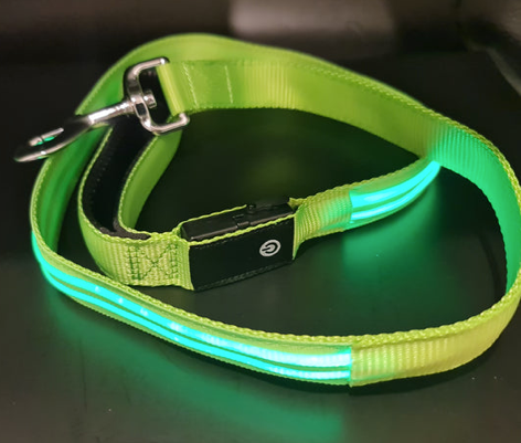 Night Walker Pro LED Lead