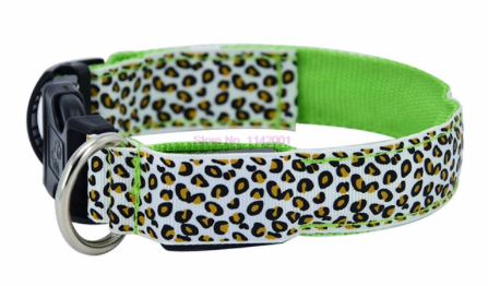 Leopard Night-light Collar