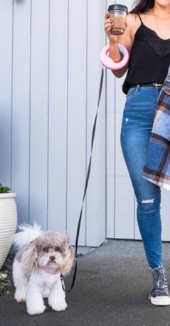Donut LED Lead