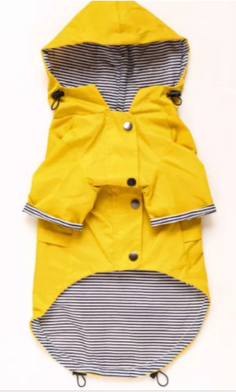 Paddington Raincoat