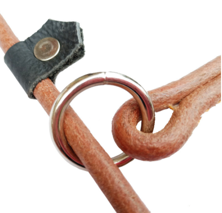 Leather Slip Lead