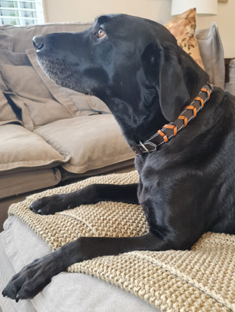 Chevron Collar