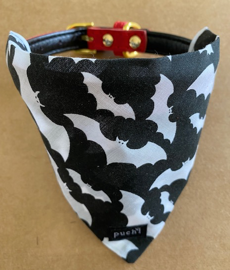 Fangtastic Bat Bandana