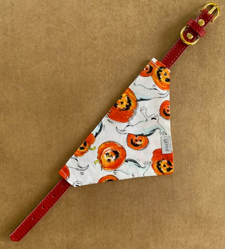 Pumpkin Patch Spooks Bandana