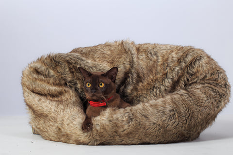 Donut Bed for Cats