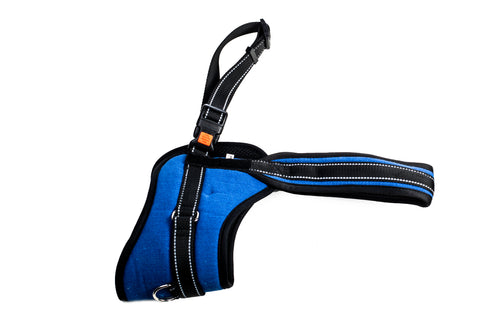 Bold Canvas Harness