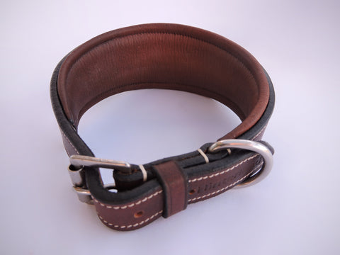 Hinterland Padded Greyhound Collar