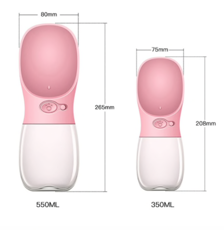 Travel Water Bottle