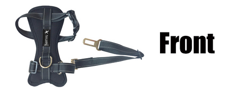 Safety Seat Belt Harness