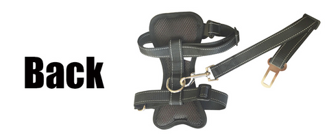 Safety Seat Belt Harness