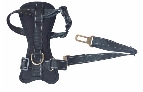 Safety Seat Belt Harness