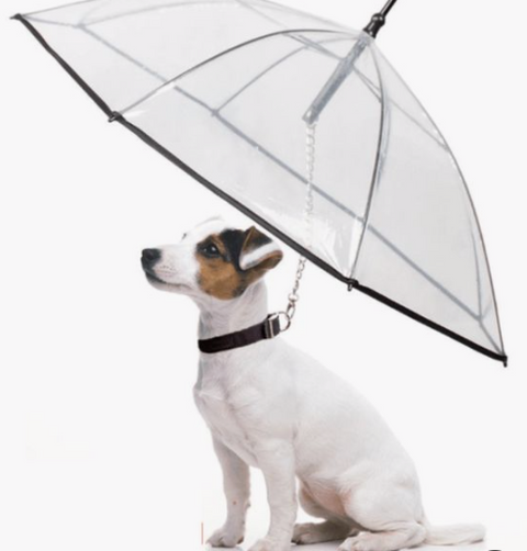 Dogbrella