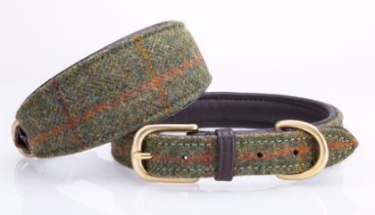 English Tweed Greyhound Collar