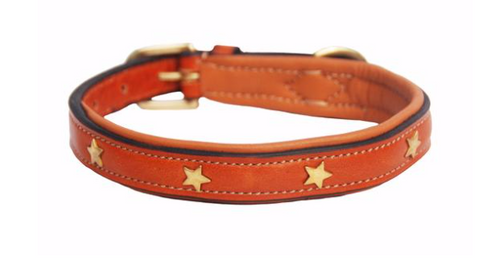 English Star Collar