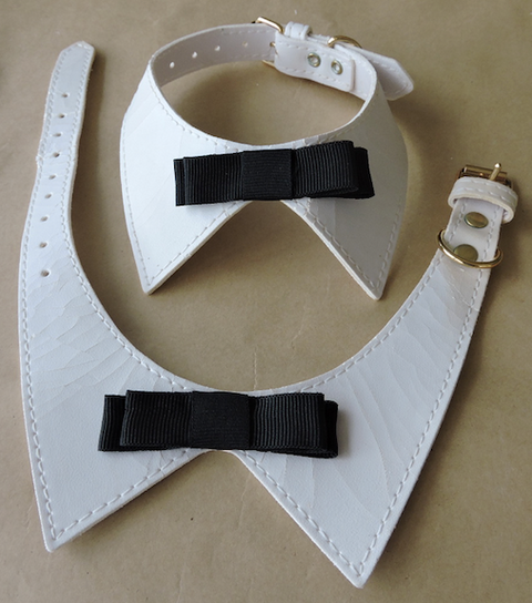 Bow Tie Collar