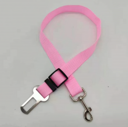Car Seat Belt