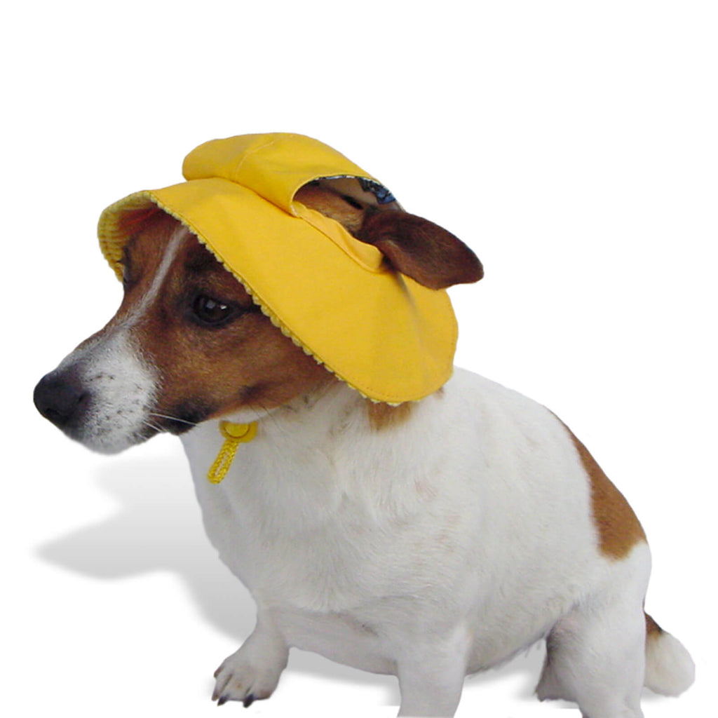 Dog rain store hats for sale