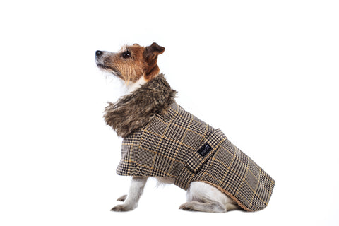 Terrier Tweed Coat