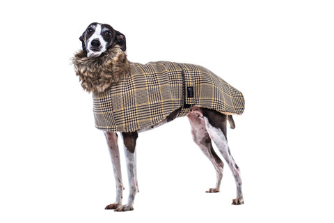 Greyhound Tweed Coat