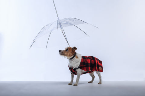 Dogbrella
