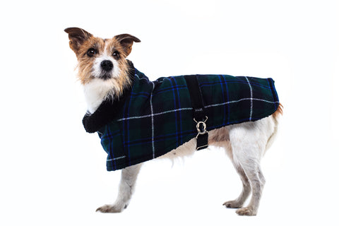 Terrier Tartan Coat