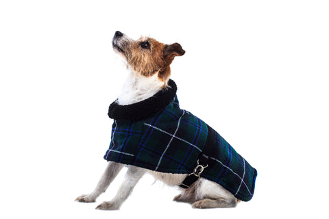 Terrier Tartan Coat