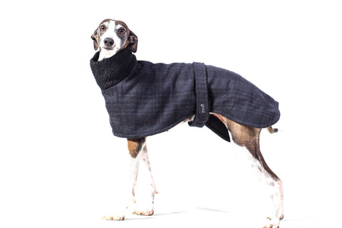 Classic Greyhound coat