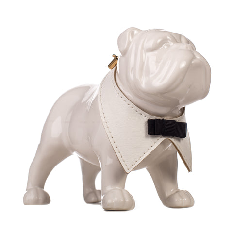 Bow Tie Collar
