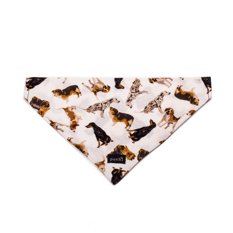 Slip On Lotsa Dogs Bandana