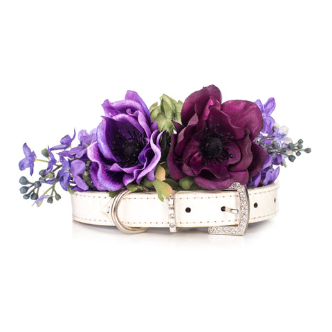 Flower Dog Collar