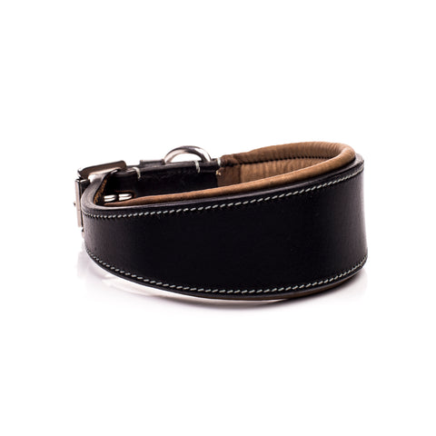 Hinterland Padded Greyhound Collar