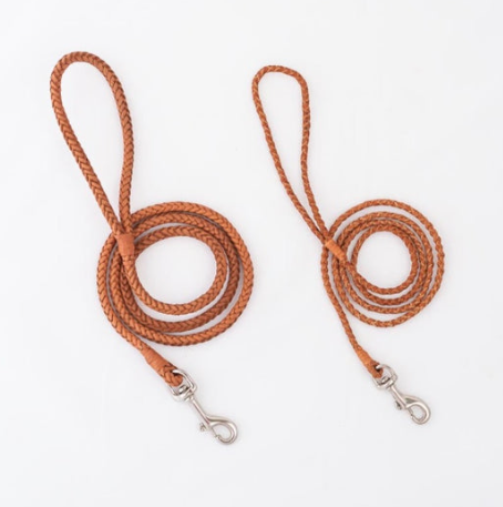 Braided Leather Lead