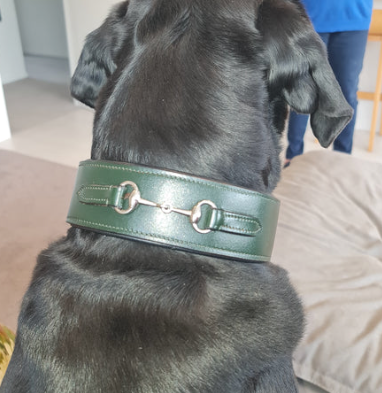 Snaffle Collar