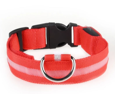 Safety Nigh-light Collar
