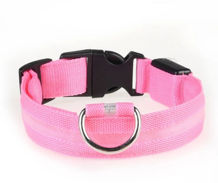 Safety Nigh-light Collar