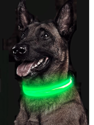 Safety Nigh-light Collar