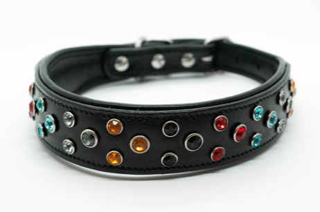 Jewel  Studded Collar