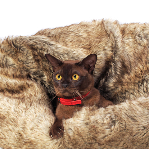 Donut Bed for Cats