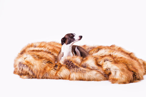 Luxury Faux Fur Throws For Dogs
