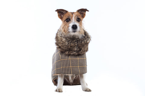 Terrier Tweed Coat