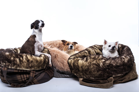 Donut Bed for Dogs