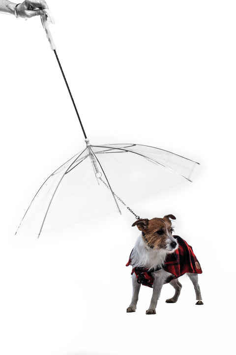 Dogbrella