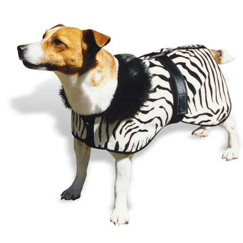 Zebra Coat